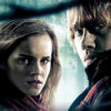 Harry Potter: Hermione and Ron - The Enduring Friendship and Love