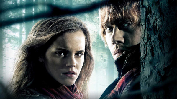 Harry Potter: Hermione and Ron - The Enduring Friendship and Love