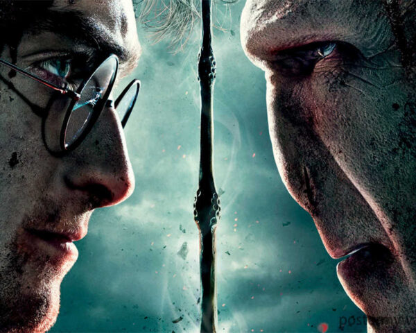 Harry Potter and Lord Voldemort: The Battle of Destiny