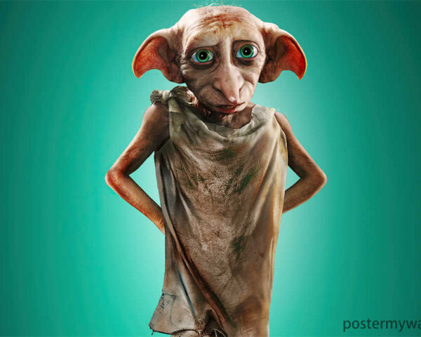 Unveiling Dobby: The Quirky and Courageous Character in the Harry Potter