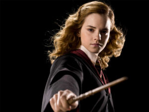 Hermione Granger: The Brilliant Mind Behind Harry Potter's Success