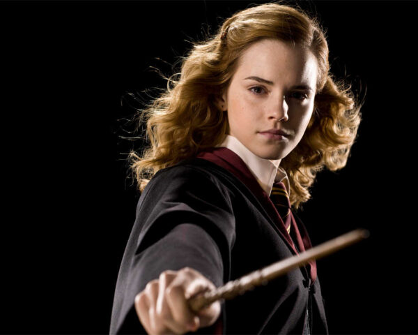 Hermione Granger: The Brilliant Mind Behind Harry Potter's Success