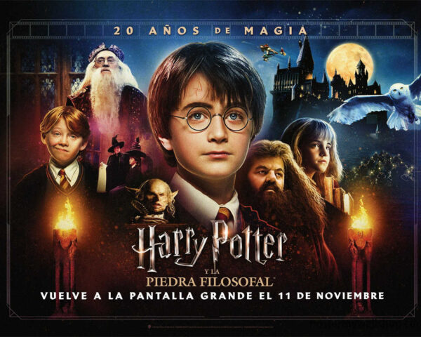 Harry Potter and the Sorcerer's Stone: The Magical Beginning