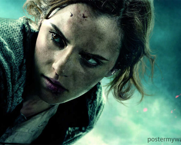 Brilliant and Resourceful: Hermione Granger's Role in the Harry Potter
