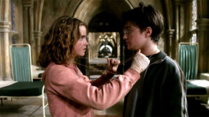 The Dynamic Duo: Harry Potter and Hermione Granger in the Wizarding World