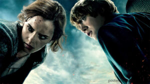 Ron Weasley and Hermione Granger: The Perfect Balance in Harry Potter