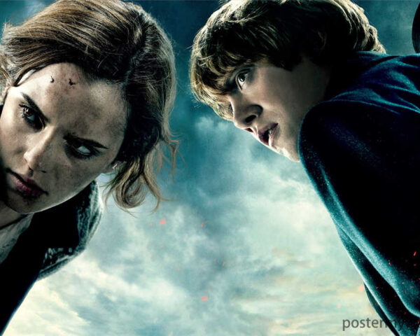 Ron Weasley and Hermione Granger: The Perfect Balance in Harry Potter