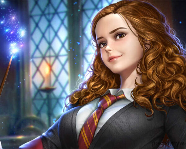 The Heart and Mind: Hermione Granger's Journey in the Harry Potter
