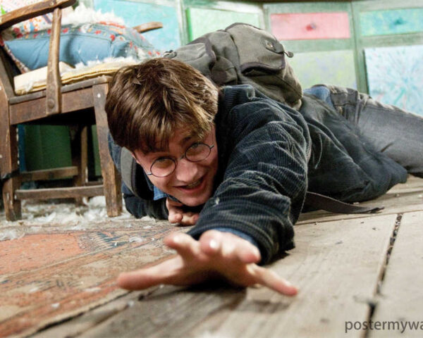 The Wizarding World's Icon: Harry Potter in the Harry Potter
