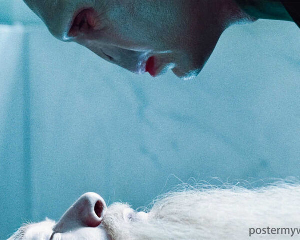 Dumbledore vs. Voldemort - The Ultimate Battle in Harry Potter's World