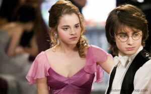 The Brilliance of Harry Potter and Hermione Granger: A Dynamic Partnership