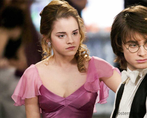 The Brilliance of Harry Potter and Hermione Granger: A Dynamic Partnership