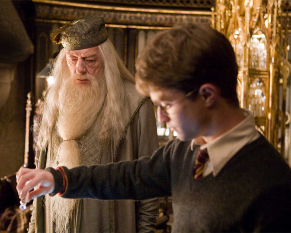 The Mentorship of Harry Potter and Albus Dumbledore in the Wizarding World