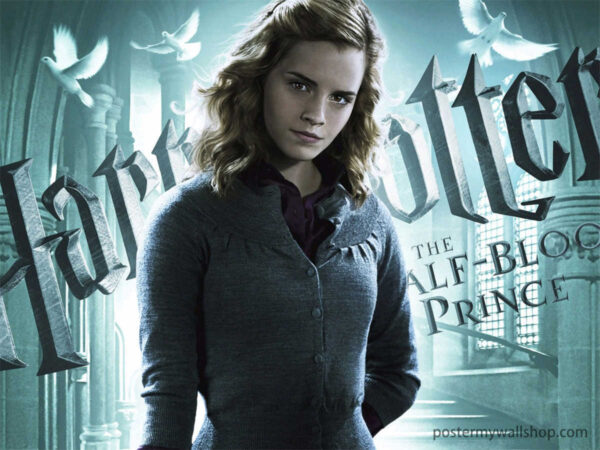 Unveiling the Magic: Hermione Granger in the Harry Potter Series