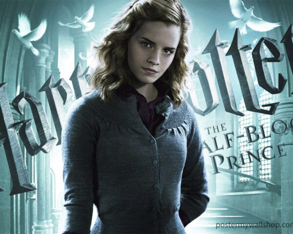 Unveiling the Magic: Hermione Granger in the Harry Potter Series
