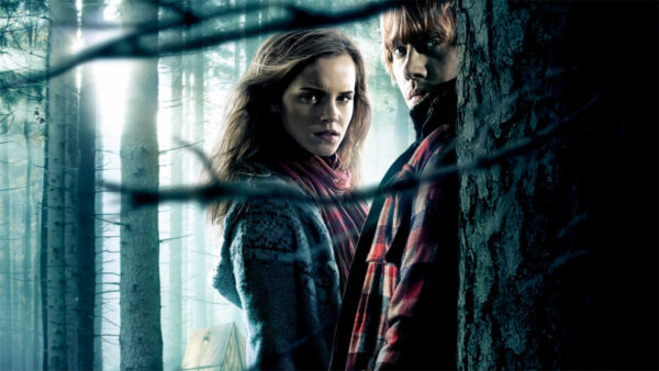 Unbreakable Bonds: Hermione Granger and Ron Weasley's Journey in Harry Potter