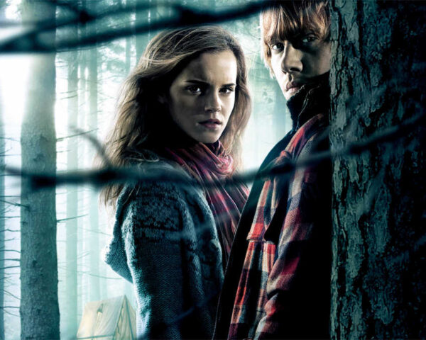 Unbreakable Bonds: Hermione Granger and Ron Weasley's Journey in Harry Potter