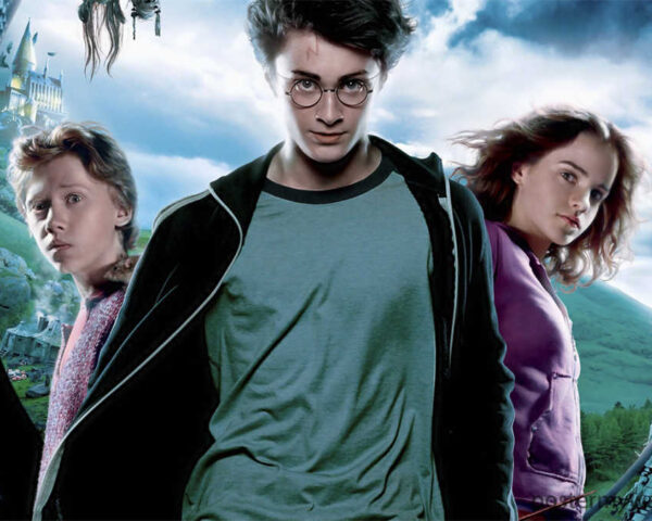 The Extraordinary Teamwork of Harry Potter's Squad in the Wizarding World