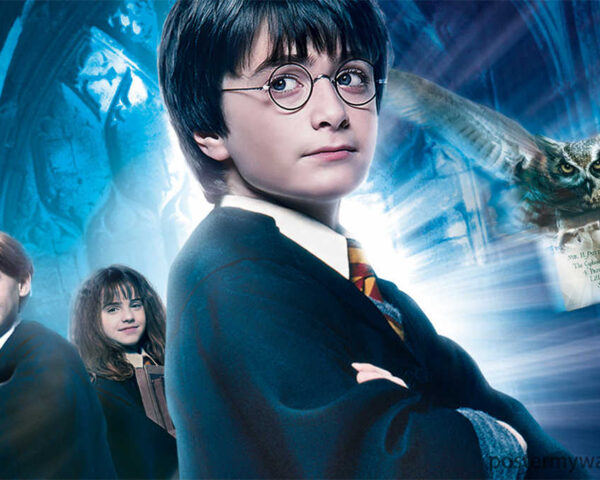 Harry Potter, Hermione Granger, and Ron Weasley: The Trio that Defined Magic
