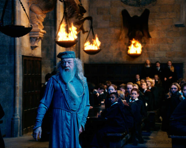 The Enchanting Hogwarts Enrollment Ceremony in Harry Potter