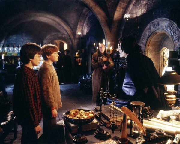 The Triad of Harry Potter, Ron, and Snape: Love, Loyalty, and Redemption