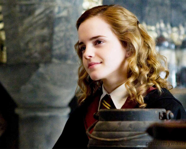 Hermione Granger: The Trailblazing Heroine of Harry Potter