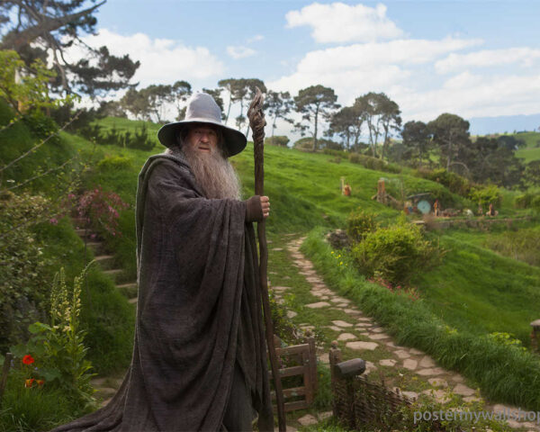 Rediscover The Hobbit: A Legendary Tale of Heroism