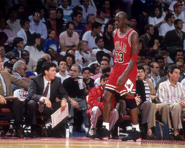 Michael Jordan: The Heroic Journey of Basketball Greatness