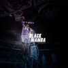 Kobe Bryant: The Black Mamba's Journey to Immortality