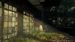 The Last of Us - Experience the Fractured Beauty of a Ruined World