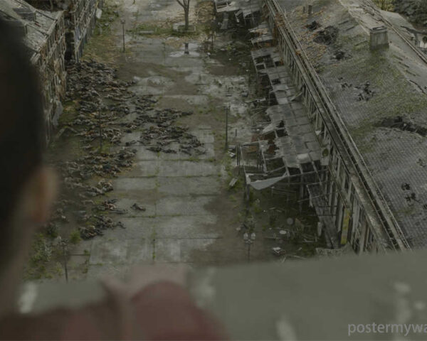 The Last of Us: Explore a World Ravaged by Desperation