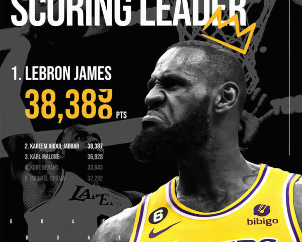LeBron James: The King's Court Vision and Basketball Brilliance