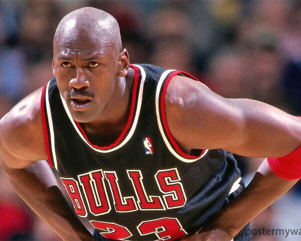 The Michael Jordan Legacy: A Testament to Greatness