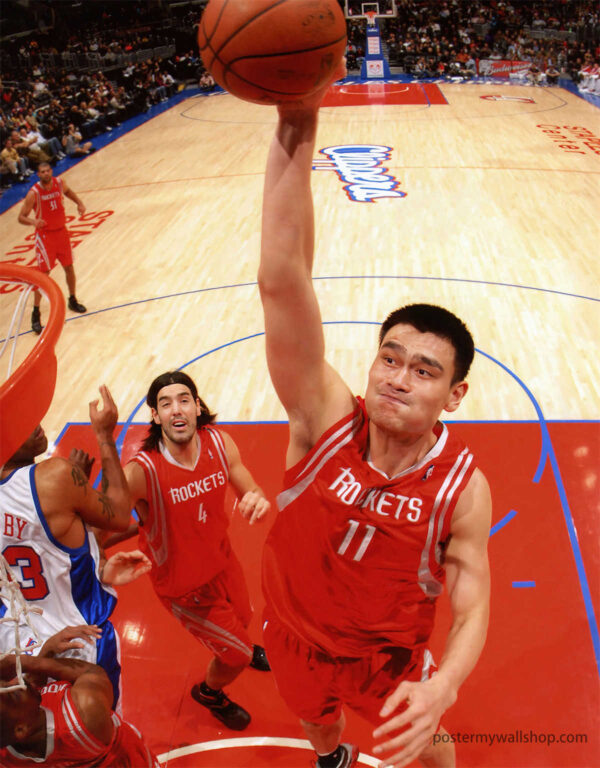 Yao Ming: A Giant's Path to Glory