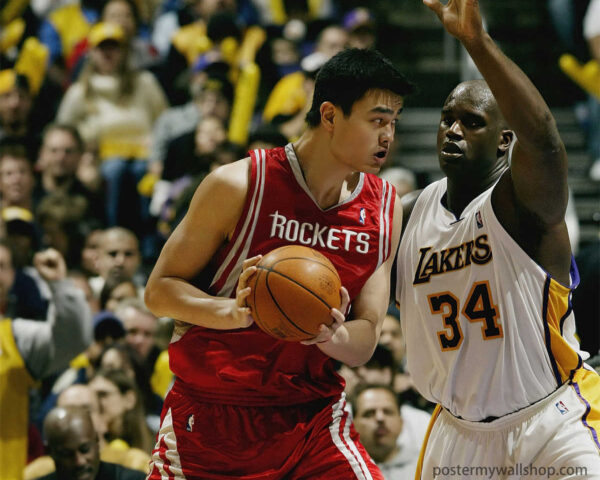 Yao Ming: A Force to be Reckoned With