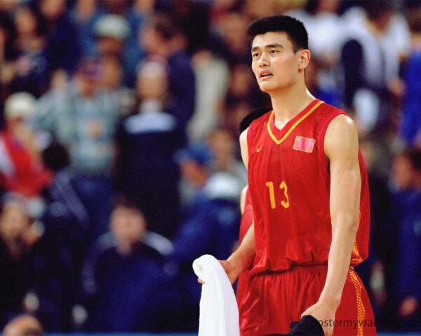 Yao Ming: The Cultural Bridge of Basketball