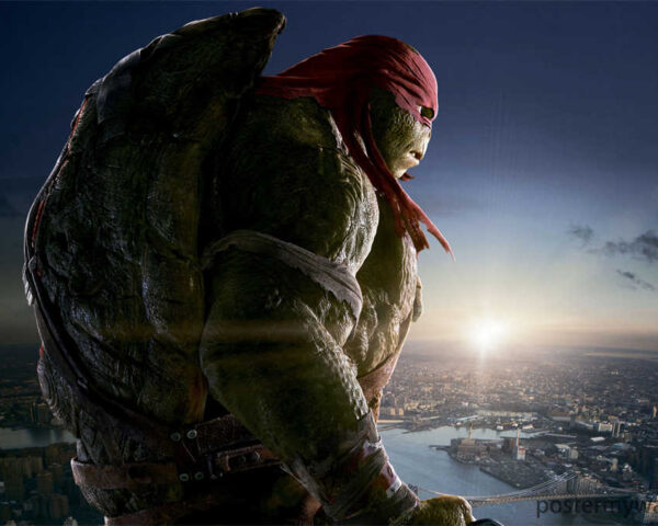 Ninja Turtles: Heroes in a Half Shell