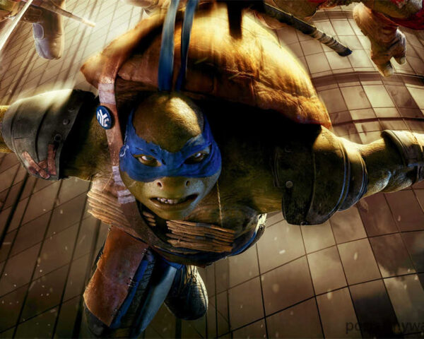 Unleash Your Inner Ninja with the Incredible Ninja Turtles Poster