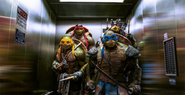 Get Ready for Shell-Shocking Action with the Ninja Turtles Poster