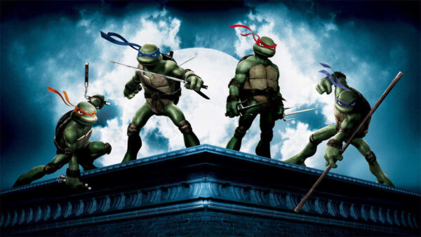 Step into the Shadows: Ninja Turtles Poster Unveils the Mystic World