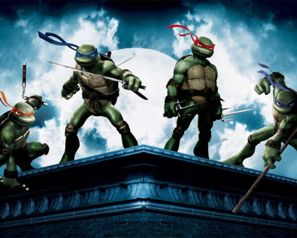 Step into the Shadows: Ninja Turtles Poster Unveils the Mystic World
