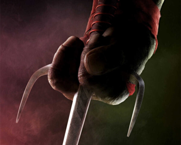 Ninja Turtles: Rise of the Heroes
