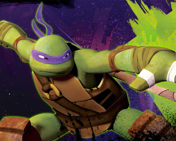 The Unmatched Legacy of Ninja Turtles