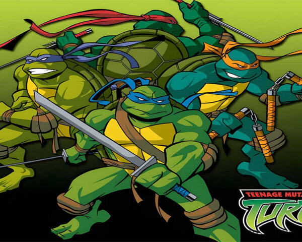 The Ninja Turtles : An Immersive World of Heroes and Villains