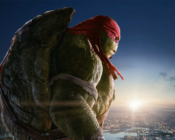 The Fiery Charisma of the Ninja Turtles