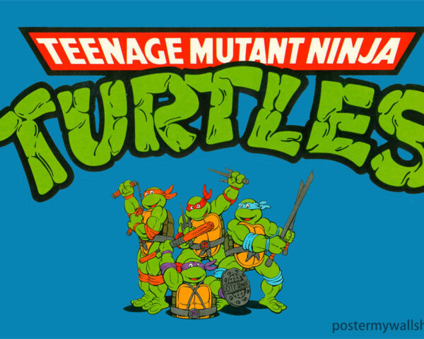 Raphael: The Relentless Spirit of the Ninja Turtles