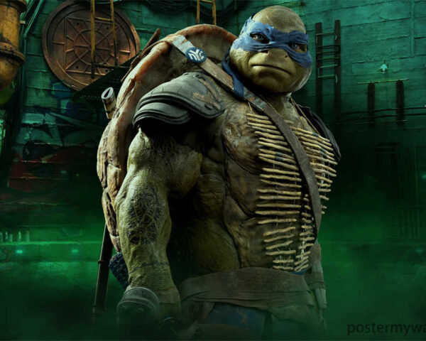 The Magnetic Personality of Leonardo: A Ninja Turtle Sensation