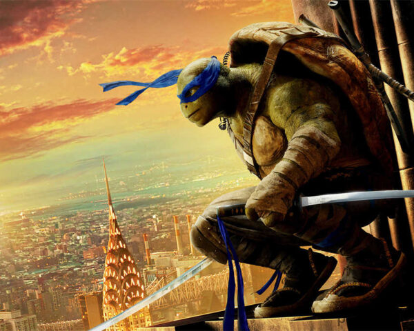 The Epitome of Charismatic Leadership in the Ninja Turtles