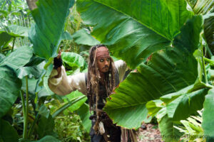 Hoist the Jolly Roger: Pirates of the Caribbean Beckon!