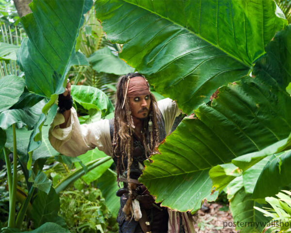 Hoist the Jolly Roger: Pirates of the Caribbean Beckon!